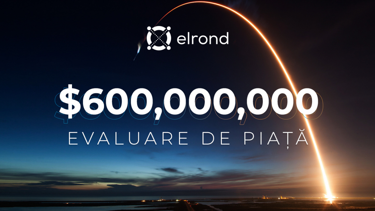 Românii de la Elrond, linie dreaptă spre transformarea în unicorn