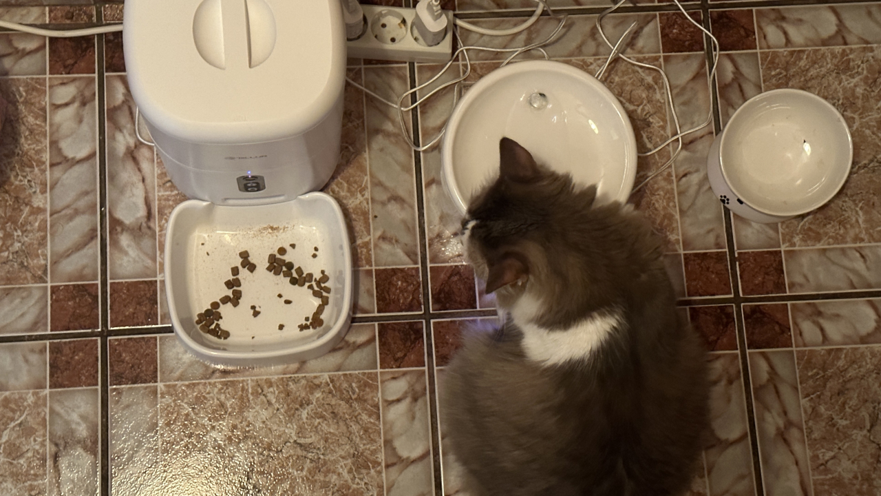 REVIEW Tellur Water Dispenser și Pet Feeder: indispensabile pentru cei cu animale de companie