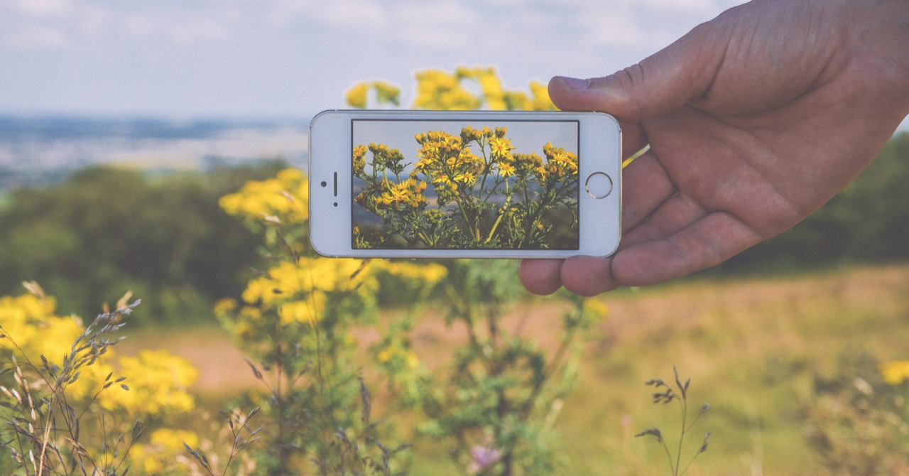 Aplicația smartphone care speră să fie „Shazam pentru natură"