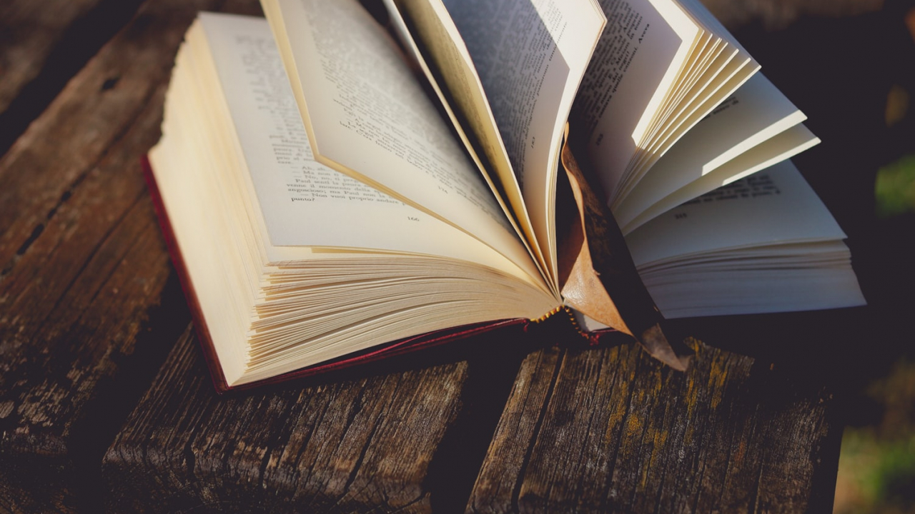 Cărți de business: cele mai vândute volume în 2020 pe elefant.ro