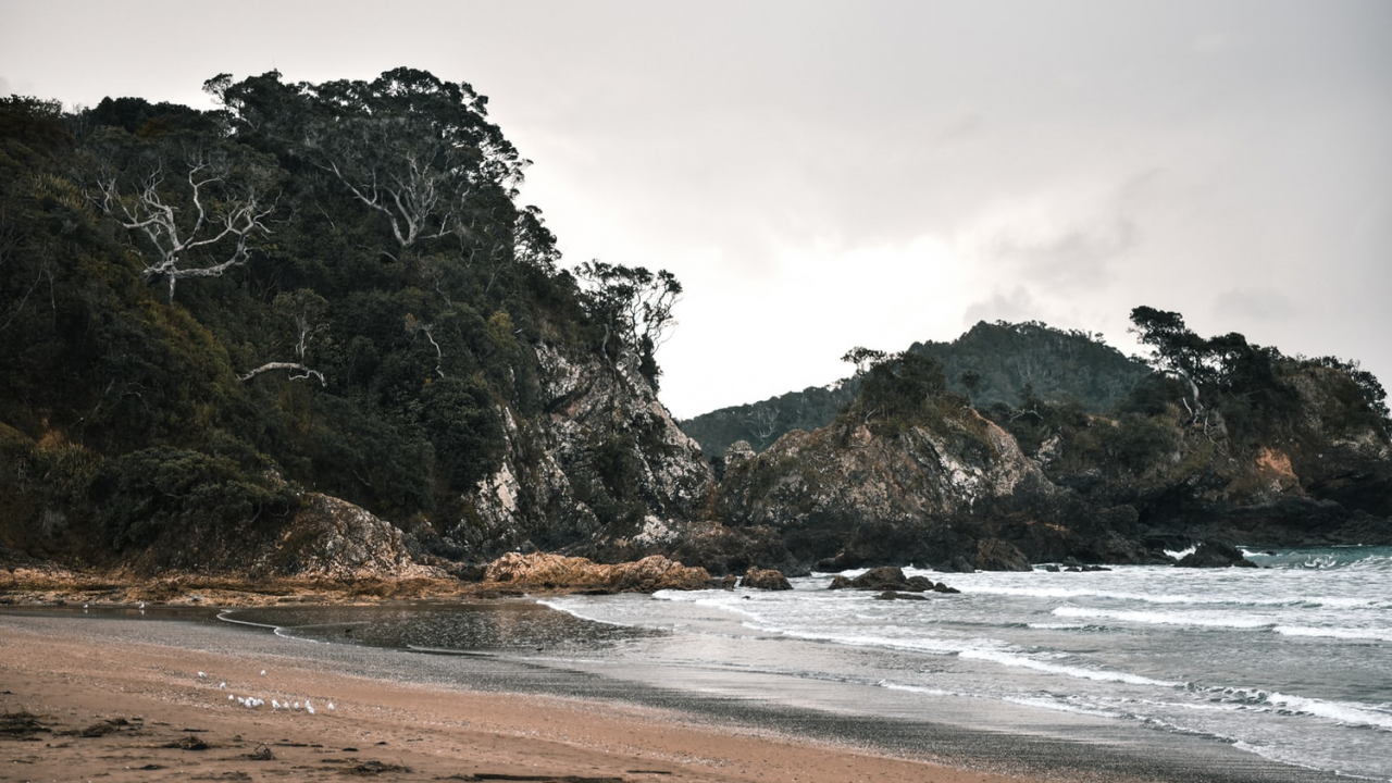 EY: Munca de oriunde în lume, o tendință cu consecințe fiscale