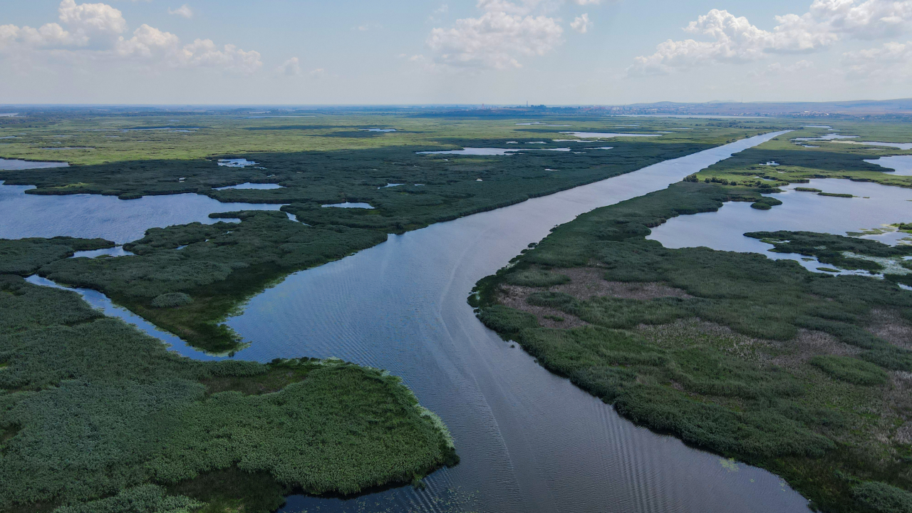 Cinci elevi români, câștigători la CEE Imagine Cup Junior Virtual AI Hackathon