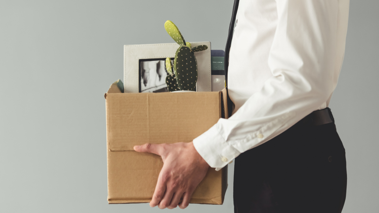 6 din 10 antreprenori se așteaptă la <span class="title-highlight">concedieri </span>în cazul unui viraj politic al României