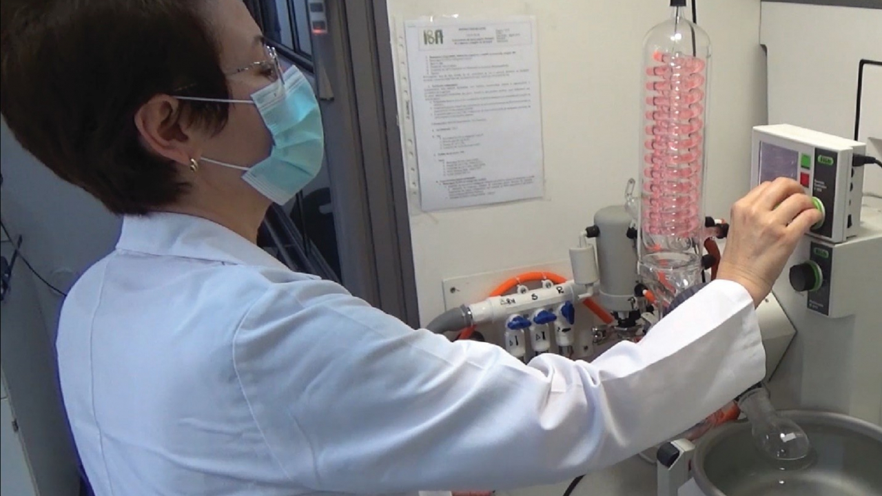 Cum poți să creezi alimente noi și să inovezi în România