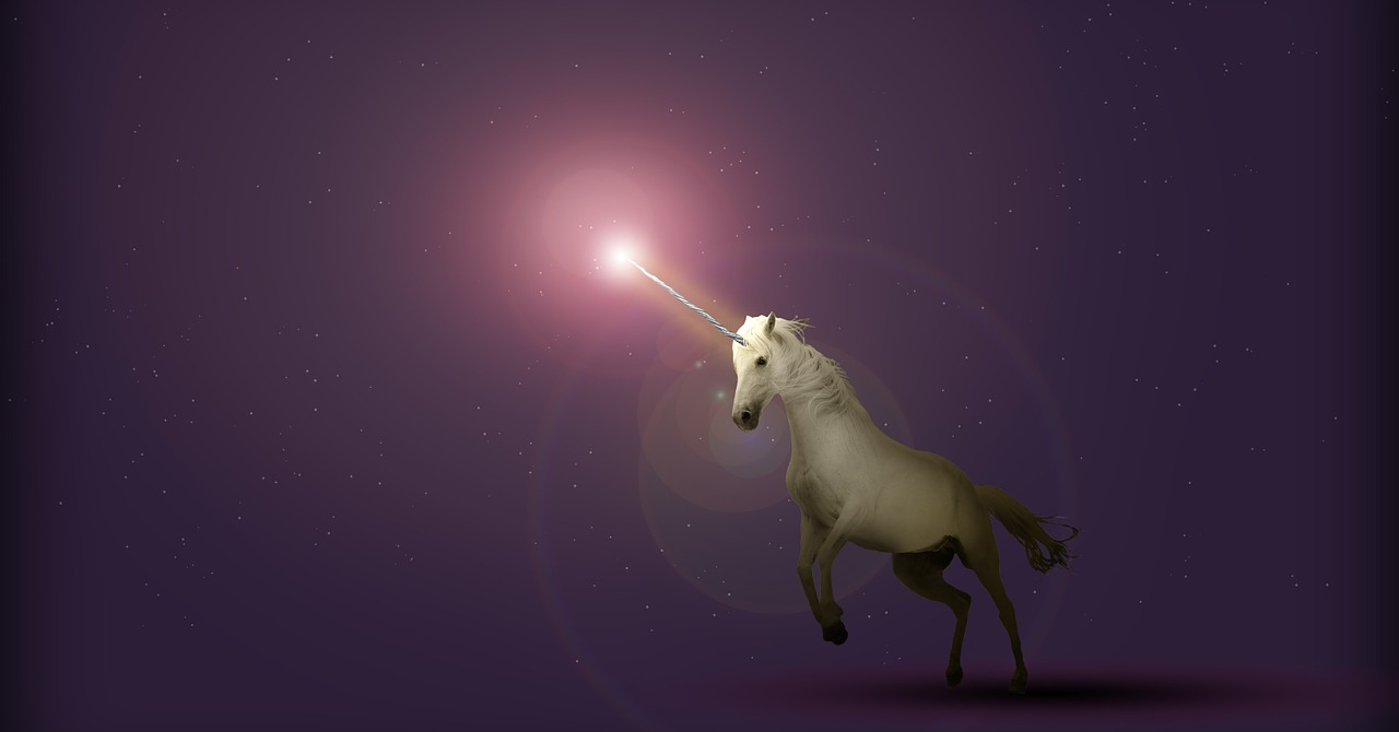 Fiecare investitor vrea să fie cel care descoperă următorul unicorn