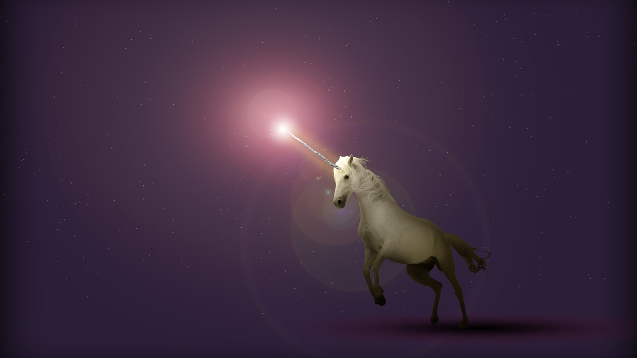Fiecare investitor vrea să fie cel care descoperă următorul unicorn