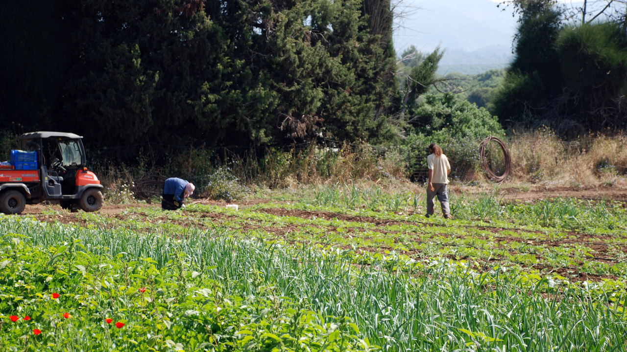 Accelerator pentru startup-urile tech din agricultură