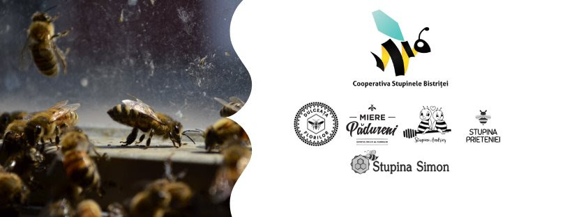 BeeLog, soluția românească care digitalizează gestionarea stupinelor