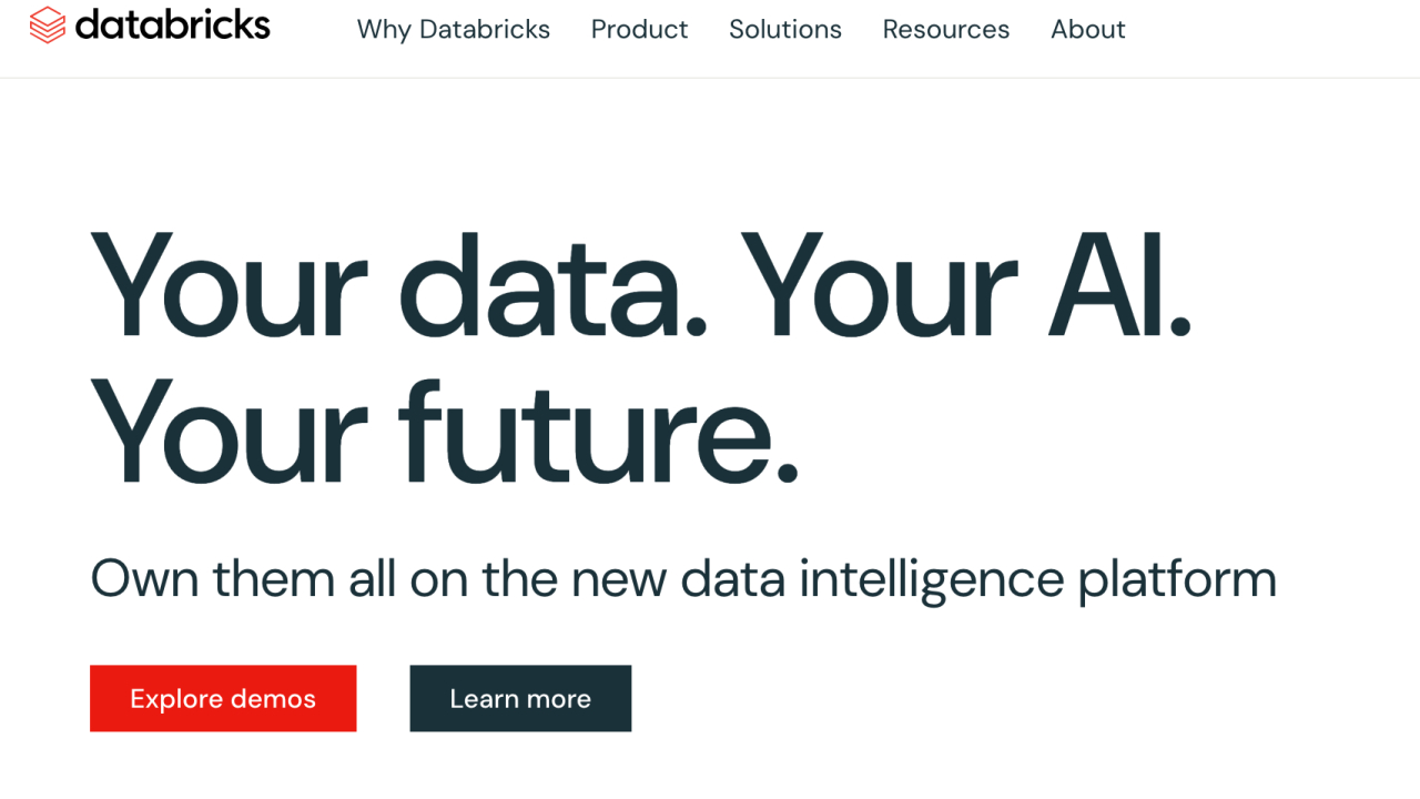 Databricks, startup cu fondatori români, investiție de 10 mld. dolari. Evaluare de 62 mld. $
