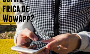 Cui îi este frică de WowApp? Povestea creării aplicației în cinci ani de "tortură" pentru fondatori