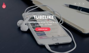 A plecat din România acum 25 de ani. Acum a lansat TubeLike, un Tinder pentru YouTube