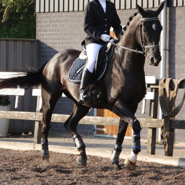 Un consultant olandez ne învață leadership cu ajutorul cailor. Cum trecem de la ”șefi” la ”lideri” participând la Horse Connection