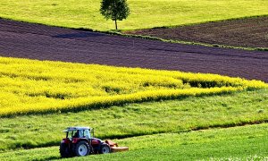 Aplicația care conectează fermierii şi comercianții de cereale cu transportatorii