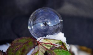 O soluție de a ieși din bula ta informațională propusă de MIT - FlipFeed