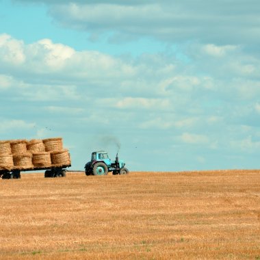 Revoluționează agricultura românească prin tehnologie