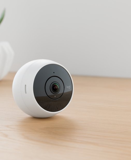 Vezi ce face pisica (sau iubita/iubitul) în lipsa ta