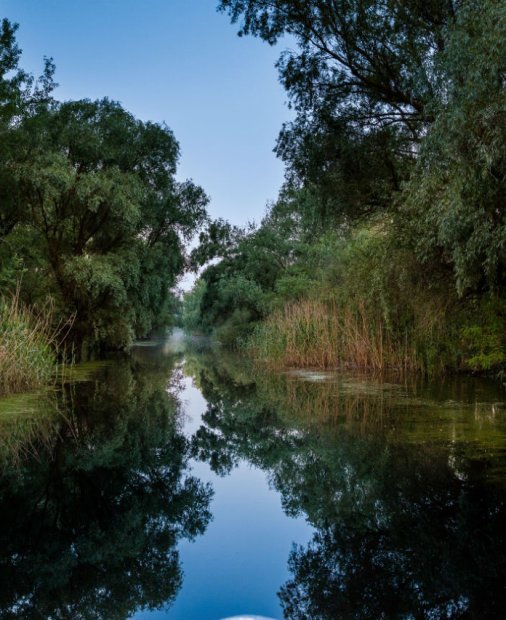 Platforma digitală care vrea să aducă 1.000.000 de oameni în Deltă