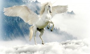 Cum devii unicorn – studiu de caz UiPath
