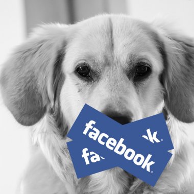 Cum și de ce ai luat ”zucc”: Facebook explică cum se face ”cenzura”
