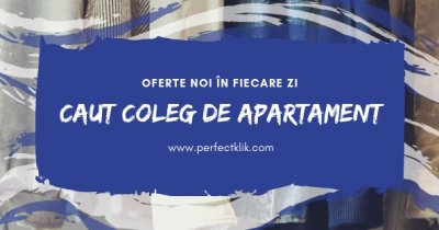Aplicația românească prin care-ți găsești coleg de apartament