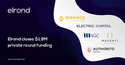 1,9 milioane de dolari investiție pentru startup-ul blockchain Elrond