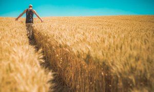 Commoditrader: Platforma de trading agricol își mărește echipa din România