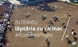 VIDEO Românii care ne-au învățat să apreciem caimacul