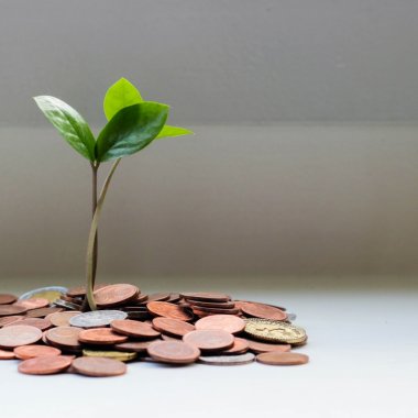 Idei de afaceri post-Covid: fond cu 92 mil. € pentru finanțarea startup-urilor