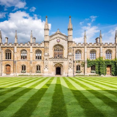 Educație online tot anul: Cambridge mută cursurile pe internet până în 2021