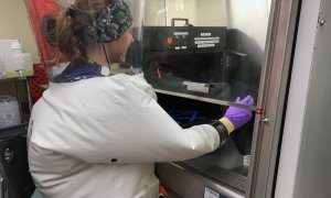 Testele demonstrează eficiența radiațiilor UVC în distrugerea virusului COVID-19