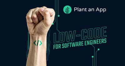 Analiză Plant an App: Cum ar putea low-code să ajute la digitalizarea statului