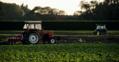 Agritech Center lansează o piață online pentru agricultori și fermieri