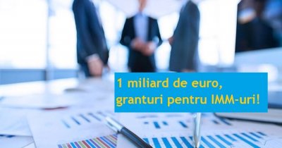 Granturi pentru IMM-uri de 1 mld. euro: document publicat în Monitorul Oficial