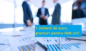 Granturi pentru IMM-uri de 1 mld. €: ghidul solicitantului, în dezbatere publică