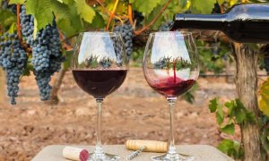 Cum alegi vinul potrivit pe care să-l faci cadou