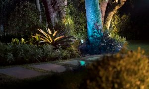 Dacă ai aceste produse Philips Hue, Signify le va înlocui sursele de alimentare