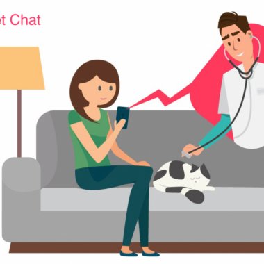 Românii de la Medic Chat lansează o platformă de telemedicină veterinară