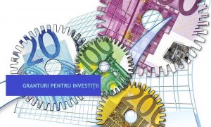 Granturi pentru investiții: procedura de implementare pentru măsura 3