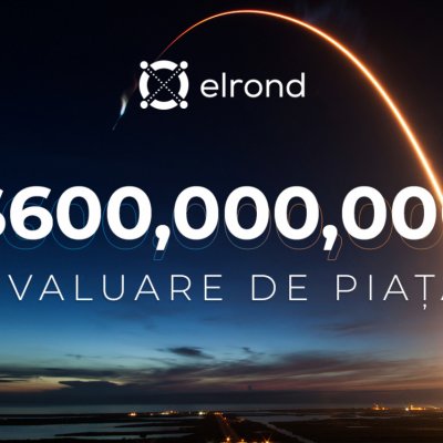 Românii de la Elrond, linie dreaptă spre transformarea în unicorn