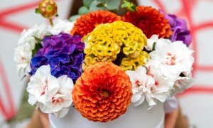 Cea mai mare florărie din România, cifră de afaceri în creștere în 2020