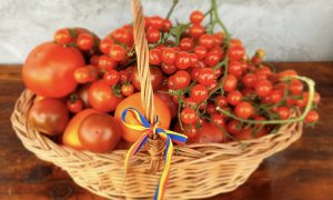 Cooperativa Țara Mea, departament de export. Produse românești în străinătate