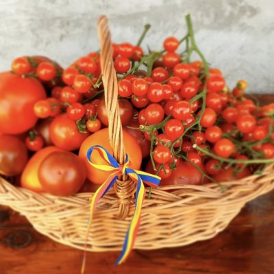 Cooperativa Țara Mea, departament de export. Produse românești în străinătate