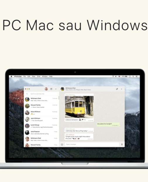 WhatsApp permite apeluri video și de voce direct în aplicația desktop