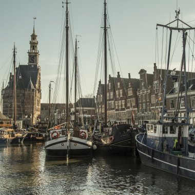 Burse pentru tineri în Olanda pe finanțe, economie, antreprenoriat