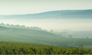 Corcova - filozofie franțuzească pe pământ oltenesc