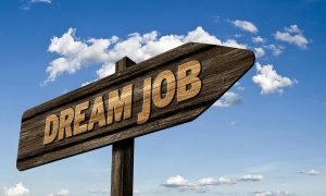 Joburi remote: În ce domenii se caută angajați pentru munca de la distanță