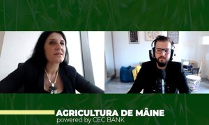 Ramona Ivan, CEC Bank: "În agricultură avem nevoie de tehnologie și consolidare"