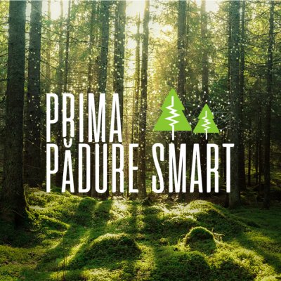 Vodafone combate defrișările ilegale cu prima padure inteligentă din România