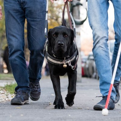 Un ONG aduce în România bastoane smart pentru persoane cu deficiențe de vedere