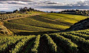 Cramele Săptămânii: Frescobaldi - “la vitta e bella” made in Toscana